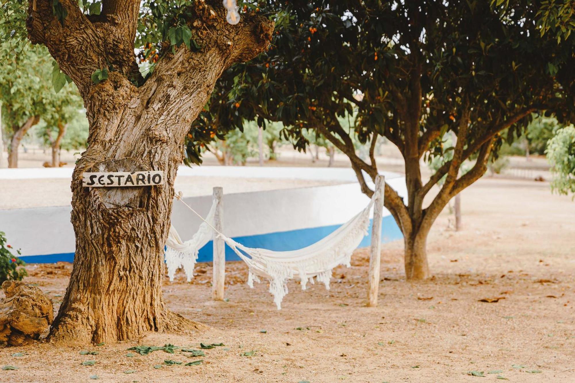 Monte Do Ramalho Villa Avis Exterior photo